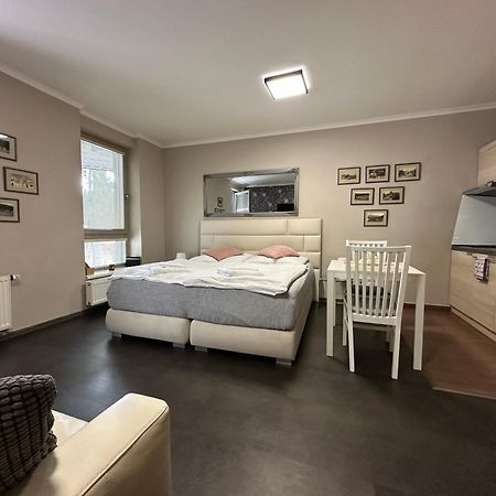 Harrachov Resident Apartments "Terrace & Chill" - High Speed Wifi, Smart Tv, Netflix, Disney Plus 外观 照片